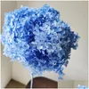 Flores decorativas grinaldas 1bunch/40x20cm/30 coloridas Anna Hydrangea Branch inteiro preservado Bouquet de flores secas e deskto home Deskto dh0ij