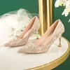 Sapatos de vestido Nvuvu 2023 Espumante Nupcial Salto Alto Casamento Elegante