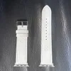 Pasmo designerskie do inteligentnego zegarka UTRA 2 49 mm seria 9 8 7 6 5 45 mm 38 mm 42 mm skórzane opaski iWatch Bransolet
