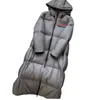 ダウンジャケットパフジャケットの女性パフベストレディースパフフード付きデザイナーパーカ女性ジッパーコート冬の暖かい出場ブランドレディースショートコートトップス
