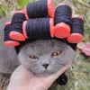 猫の衣装ヘアローラー付き最新の猫のかつら愛らしい巻き毛猫ヘッドドレス小犬に適した2サイズ利用可能なhkd230921