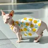 Costumi per gatti Sfinge Abiti per gatti Abiti di lusso per gatti senza peli Estate Cane Gonna fantasia Gattini Gilet Costume Cucciolo Carino Abbigliamento fragola HKD230921