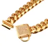 14mm Sterke Gouden Rvs Lock Gesp Honden Training Choke Chain Halsbanden voor Grote Honden Pitbull Slip Halsband228M