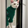 ملابس Cat Costums for Kitty Autumn Winter Chenille Fleece Sphinx Hairless Clother Devon Rex Costume Sphynx clothing