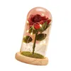 Dekorativa blommor Romantisk ljus upp Rose bevarad natt med basprydnader för presentjubileum Födelsedagsflickvän Heminredning