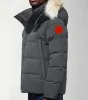 ニューカナダのパフジャケットメンデザイナーリアルコヨーテファーアウトドアウィンダムウィンドブレイカージャセンアウターウェアフード付きフォーリュアマントーダウンジャケットコートヒバルパーカドゥドゥーン