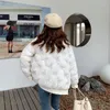 Kadınlar Down Kadınlar Kış Nakış Ceket Kalın Stand Yakası Sıcak Kısa Parkas Ceket Zarif Parlak Pamuk Yastıklı Ceketler Kadın