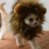 Trajes de gato bonito leão juba gato peruca chapéu para cães e gato pequeno cão animal de estimação decoração acessórios leão peruca fantasia boné de cabelo engraçado suprimentos para animais de estimação hkd230921