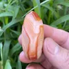 Dekorativa figurer 36g Natural Red Sardonyx Agate Alxa Gobi Eye Mineral Prov Energy Chakra Reiki Crystal Healing Stone Aquarium