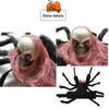 Cat Costumes Halloween Spider Clothes for Pet Dog Cat Spider Costumes Dressing Pet Clothes Party Pet Halloween Props Accessories HKD230921