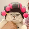 Cat Costumes Latest Cat Wig With Hair Rollers Adorable Curly Hair Cat Headdress Also Suitable For Small Dogs 2 Sizes Available HKD230921