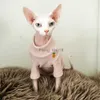 Cat Costumes Cat Clothes for Devon Rex Autumn Winter Warm Sweater for Sphynx Cat Cotton Clothes Hairless Cat Soft T-Shirt Kittens Outwear HKD230921