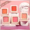 Blush Bedrukt Single Blusher Palette Private Label Blush Make-up Geen Gezicht Cheek Blush Geperst Poeder Blusher 230921