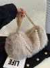 Torby wieczorowe mody Pluszowa torba na ramię koreańską sieć Pearl Crossbody 2023 Autumn Winter Wszechstronna dama