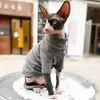 Cat Costumes Cat Clothes for Devon Rex Autumn Winter Warm Sweater for Sphynx Cat Cotton Clothes Hairless Cat Soft T-Shirt Kittens Outwear HKD230921