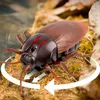 Electric RC Animals Infrared Remote Control Cockroach Toy Animal 230920