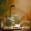 Reptielbenodigdheden Kweekbox Acryl Spider Hagedis Schorpioen Enti's Gemonteerd Transparant Insect Ademend Terrarium 230920