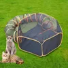 Autres fournitures pour animaux de compagnie Tunnel de chat Chats d'intérieur Aire de jeux pliable Tube universel durable Tente de jeu extérieure et pour chiens de lapin 230920