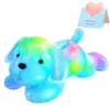 Poupées en peluche LED lumineuse bleu clair chien poupée en peluche mignon doux chien jouets lumineux animaux en peluche oreiller pour filles cadeau d'anniversaire chambre d'enfants 230921