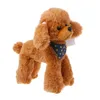 Poupées en peluche jouets en peluche chiens caniche haute Simulation enfants cadeaux poupée en peluche belle écharpe 230921