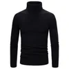 Chandails pour hommes automne et hiver couleur unie pull à col roulé style coréen tempérament mince rayé pull tricoté