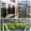 6 Layers Drying Net Herb Drying Net Dryer Bag Mesh Folding Dry Rack For Flowers Buds Plants Organizer For Herbs Hanging Basket