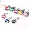 Collare per cani personalizzabile con indirizzo, targhette per cani, medaglia con incisione, nome, gattino, cucciolo, accessori, collana personalizzata per gatti