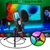 Mikrofone USA Yanmai USB-Mikrofon, RGB-Kondensatorkabel, Gaming-Mikrofon für Podcast-Aufnahme, Studio, Streaming, Laptop, Desktop-PC 230922