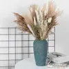 Christmas Decorations Natural Reed Dried Flowers Bulrush for Decoration Dry Flowers Real Grass Party Wedding Tall Home Decor R230922