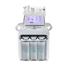 Appareils de soins du visage 6 en 1 H2-O2 Hydro Dermabrasion RF Bio-lifting Spa Hydro Microdermabrasion Machine 230921