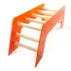 Autres fournitures pour oiseaux Perroquet Slide Training Acrylique Arch Bridge Escalier Ramper ÉchelleClimbing Stand SkillsTrain Safe Réduire l'ennui Macaw