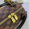 Hoge kwaliteit Totes tas Luxe portemonnee portemonnees crossbody tas designer tas vrouw Kussenvormige handtas schoudertassen luxe Geruite handtassen Tassen