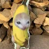 Plush Keychains Banana Cat Plush Toy Banana Cat Crying Meme Banana Cat Keychain Cat In Banana Doll Bag Pendant Doll ToysHappy Gift Kids 230922