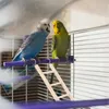 Autres fournitures d'oiseaux Hamster Escalade Échelle Perroquet En Bois Créatif Suspendu Cage Résistant Aux Morsures Jouets Jouets