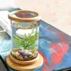 1PCS Mini Glass Bamboo Base Tank Rotate Decoration Fish Bowl Ecological Bottle Aquarium Accessories2608