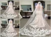 2019 Sprzedaż najtańszej w magazynie długiej kaplicy Długość welonowa aplikacja Bridal Veil Long Wedding Veil Lace Applique z grzebiem 8356680