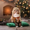 Abbigliamento per cani Mantello di alce per gatto di Natale Simpatico costume da renna per gatti Accessori per vestire cosplay con mantello per animali domestici in corna