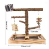 Autres fournitures d'oiseaux Perroquets Cage Swing Stands Set en bois avec jouet et plateau