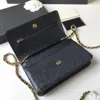 Vendita di moda Portafogli a catena da donna classici mini formato Borsa di lusso in pelle di pecora di alta qualità Borsa con fibbia in oro e argento Portamonete2246