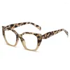 Zonnebrilmonturen Cat Eye Optische Brillen Voor Vrouwen Merk Designer Mode Luxe Anti Blauw Licht Computer Bril Dames Brillen