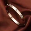 Bangle Stainless Steel Bracelets Woman Bangles for Golden Love Crystal Wedding Feminina Luxury Jewellery Gifts 230922