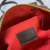 Hoge kwaliteit Totes tas Luxe portemonnee portemonnees crossbody tas designer tas vrouw Kussenvormige handtas schoudertassen luxe Geruite handtassen Tassen