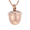 Chokers Cremation Jewelry Urn Necklace for Ashes Pendant Stainless Steel Acorn Urn Locket Ashes Keepsake Memorial Jewelry 230921