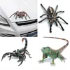 3D Örümcek Kertenkele Akrep Araba Sticker Hayvan Araç Pencere Aynası Tampon Çıkartma Dekoru Suya Dayanıklı Yüksek Sakinlik297p