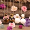 Natural Tiger Eye White Tridacna Stone Round Essential Oil Parfume Bottle Pendant Women Crystal Diffuser Gold Necklace Jewelry12602