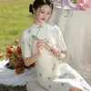 Ethnische Kleidung im chinesischen Stil, nationaler Mandarin-Kragen, Cheongsam, Vintage-Kostümkleid, elegantes Damen-Qipao mit Blumenstickerei