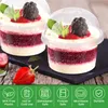 Disposable Cups Straws 50pcs Fruit Dessert With Lids Clear Salad Parfait Containers ( 250ml Plastic Bag