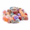 Decorative Flowers 20/50Pcs Silk Artificial European Retro Carnation Flower Head Wedding Home Party Decoration Scrapbooking Christmas Gift