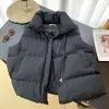 Damesjassen PinkyIsBlack Warme Herfst Winter Vrouwen Kort Vest Jas Zakken Casual Mode Mouwloos Jasje Effen Vest Voor Vrouwelijke 230922