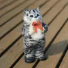 플러시 인형 30cm 전자 전자 플러시 고양이 장난감 음악 로봇 동물 댄스 노래 노래 키티 소프트 전기 애완 동물 인형 귀여운 아기 재미있는 생일 선물 230922